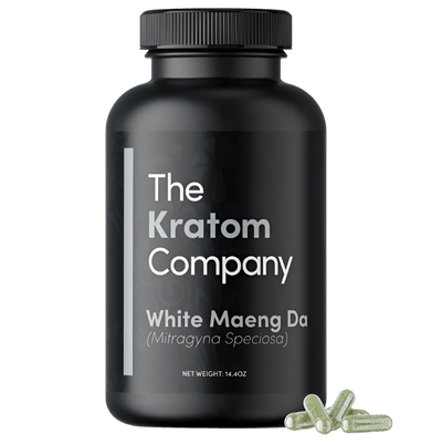 THE KRATOM COMPANY CAPSULES 500CT / 14.4OZ / 500MG - MAENG DA WHITE VEIN